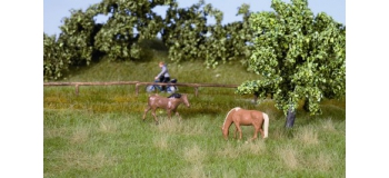 Noch 7403 Prè d'été